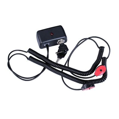 Dual Input Retail Display Self Alarm Kit for Laptop or Cellphone